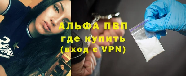 твердый Арсеньев