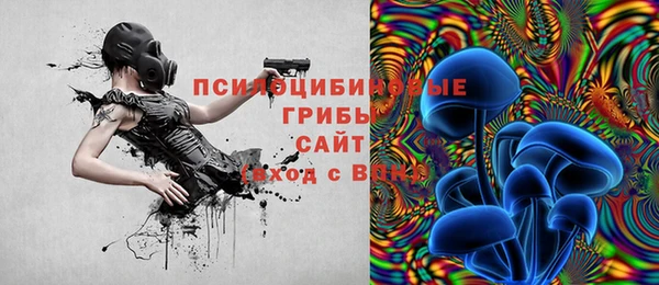 твердый Арсеньев