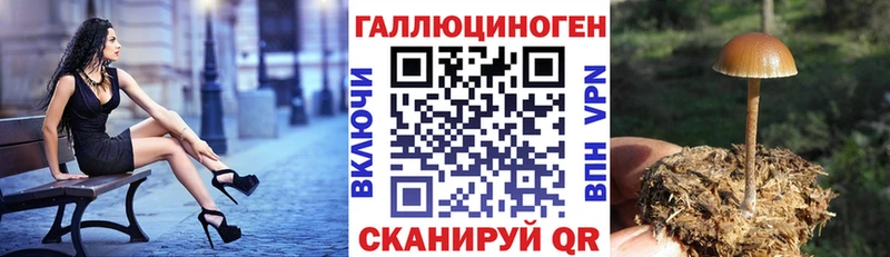 Псилоцибиновые грибы MAGIC MUSHROOMS  Купить  Бокситогорск 